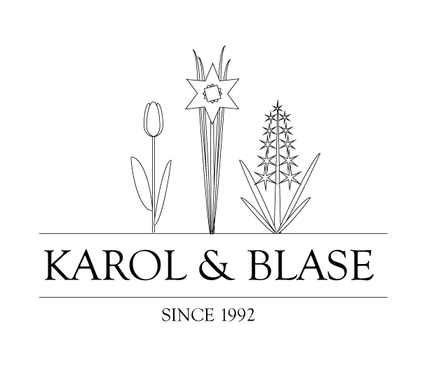 KAROL & BLASE KFT.